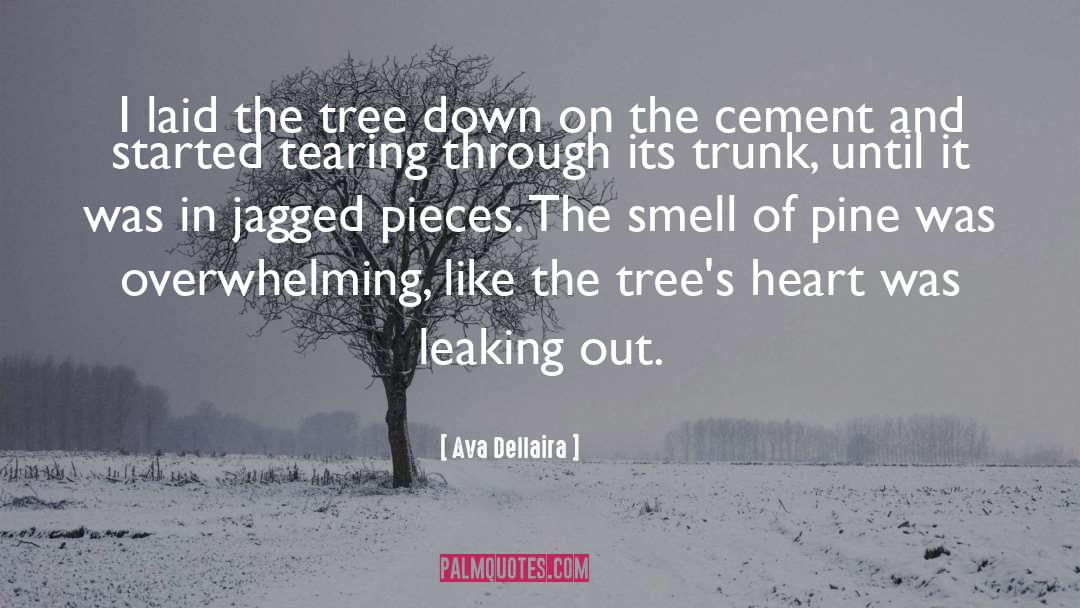 Disagreements Involving Trees quotes by Ava Dellaira