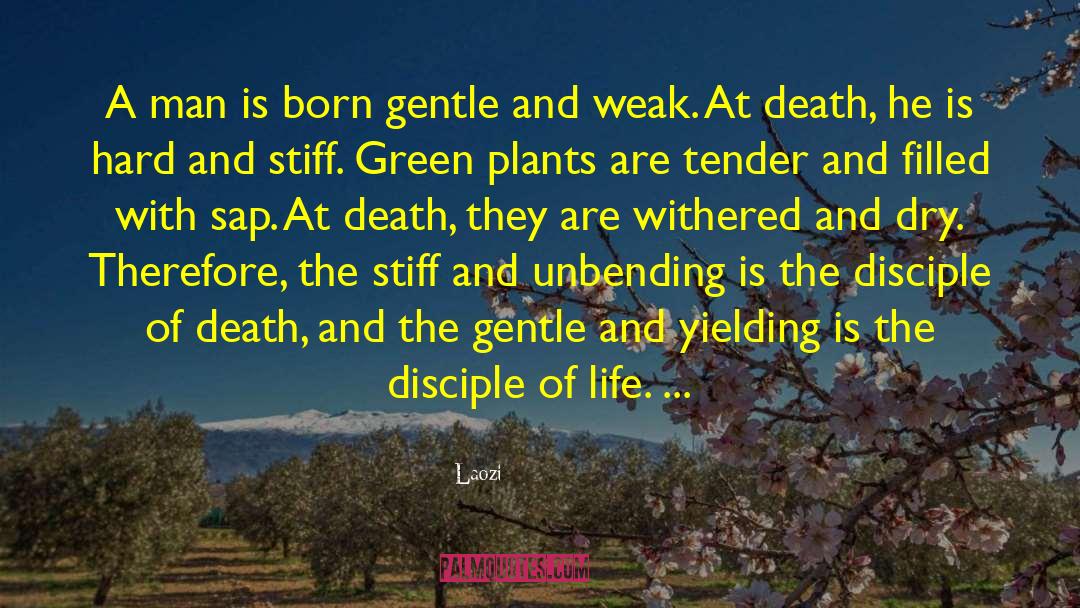 Disapointment Life quotes by Laozi
