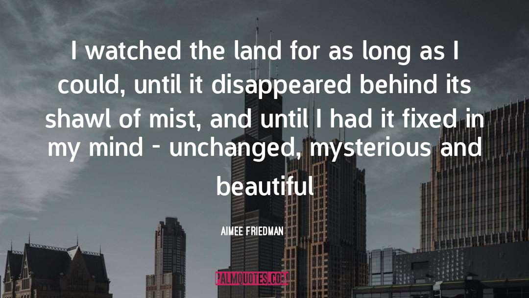 Disappeared quotes by Aimee Friedman