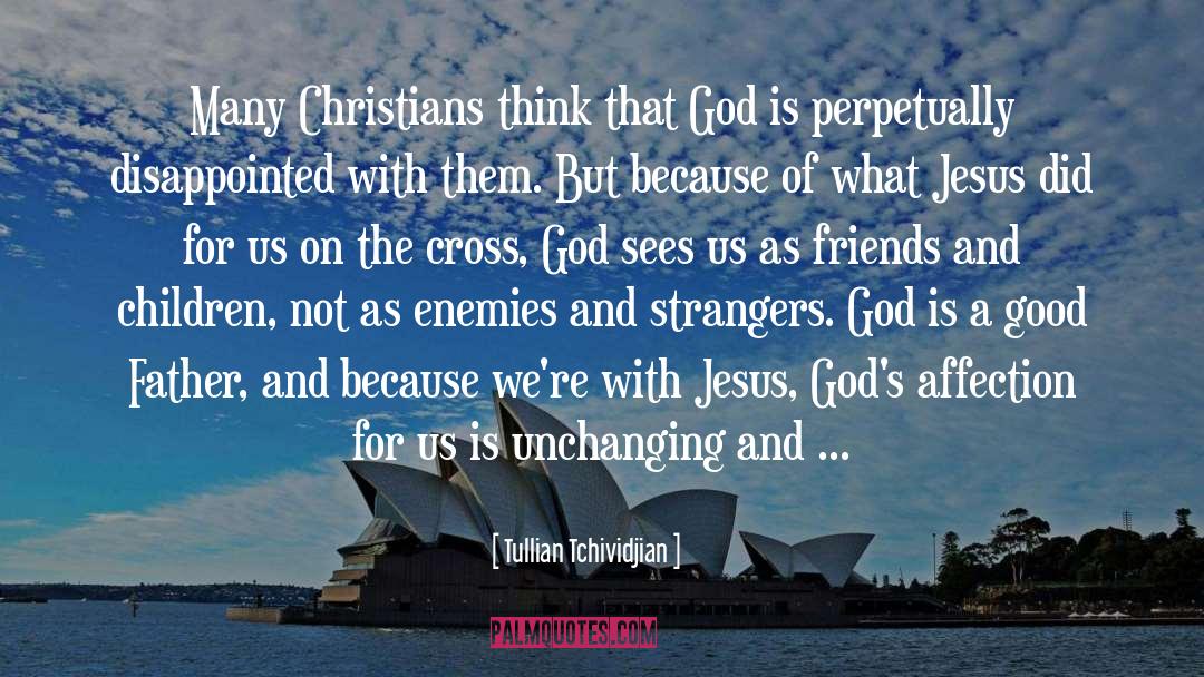 Disappointed quotes by Tullian Tchividjian