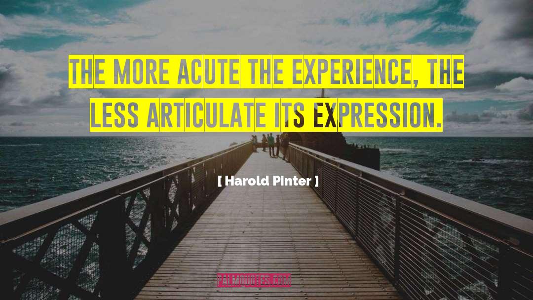 Disappointing Experience quotes by Harold Pinter