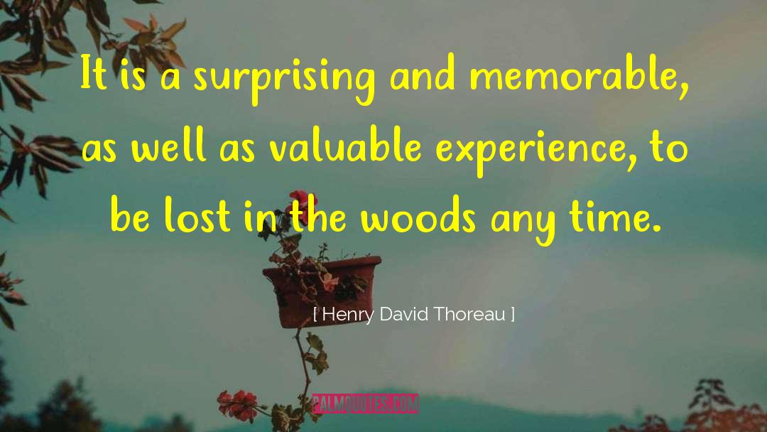 Disappointing Experience quotes by Henry David Thoreau