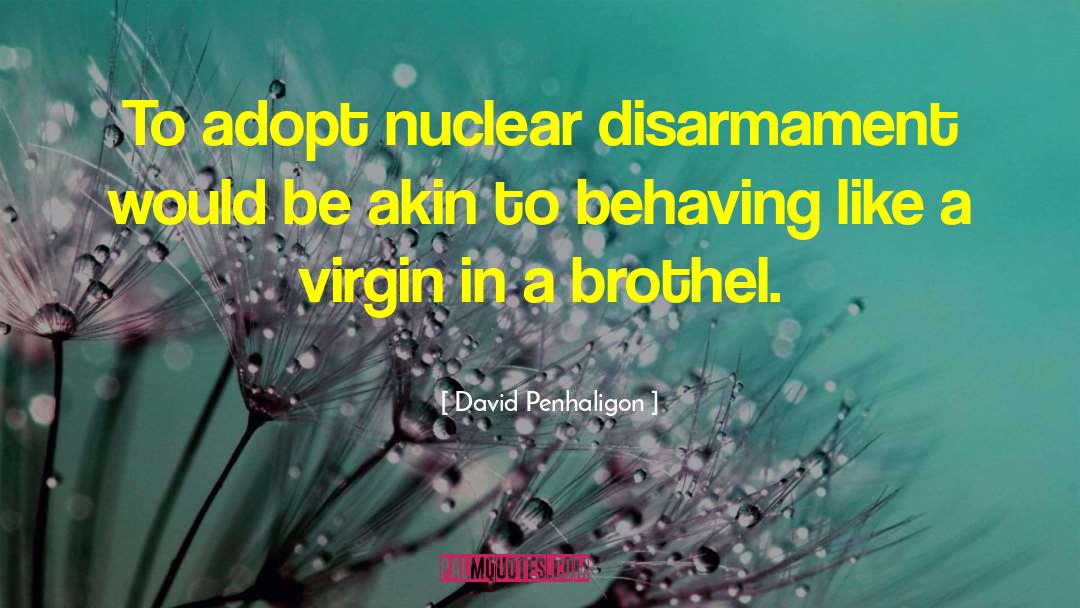 Disarmament quotes by David Penhaligon