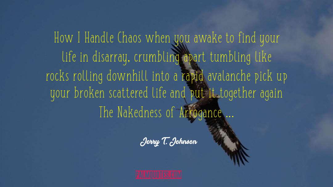 Disarray quotes by Jerry T. Johnson