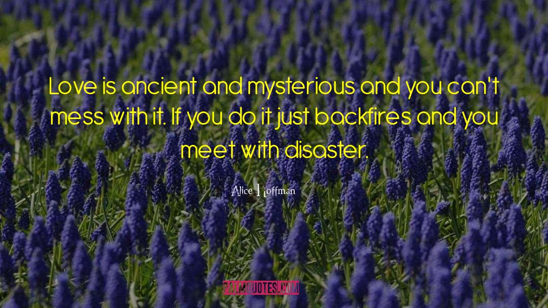 Disaster Preparedness quotes by Alice Hoffman