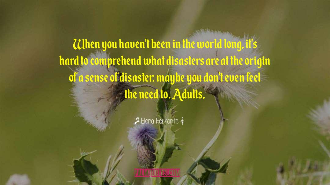 Disaster Preparedness quotes by Elena Ferrante