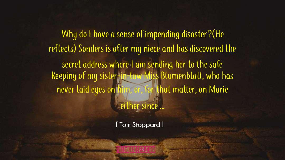 Disaster Preparedness quotes by Tom Stoppard