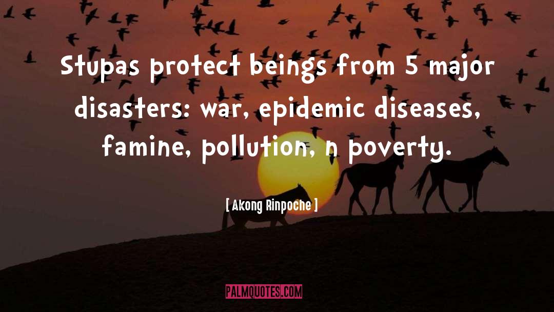 Disasters quotes by Akong Rinpoche