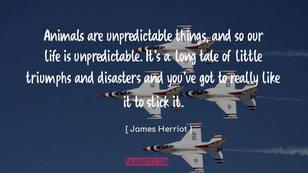 Disasters quotes by James Herriot