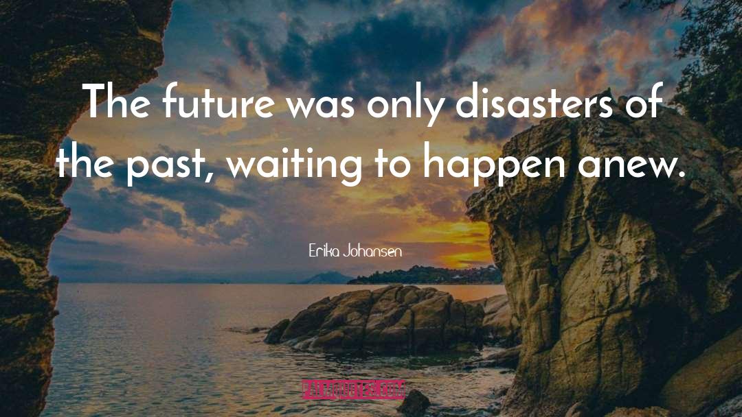 Disasters quotes by Erika Johansen