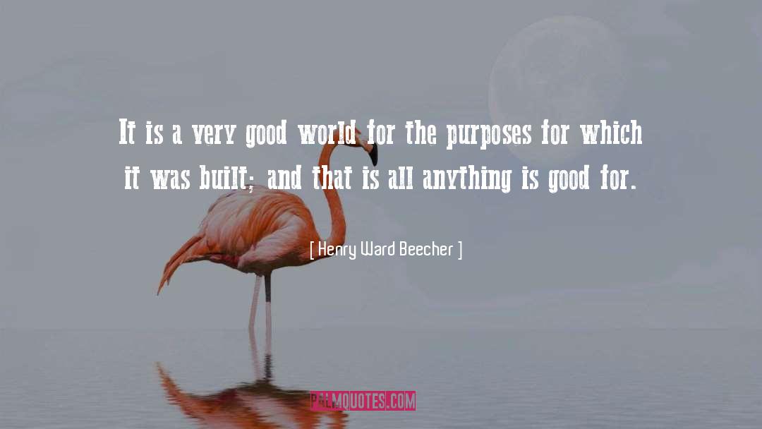 Disc World quotes by Henry Ward Beecher