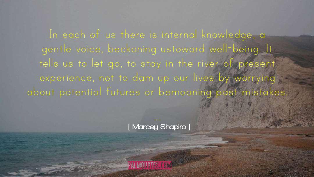 Discarding Knowledge quotes by Marcey Shapiro
