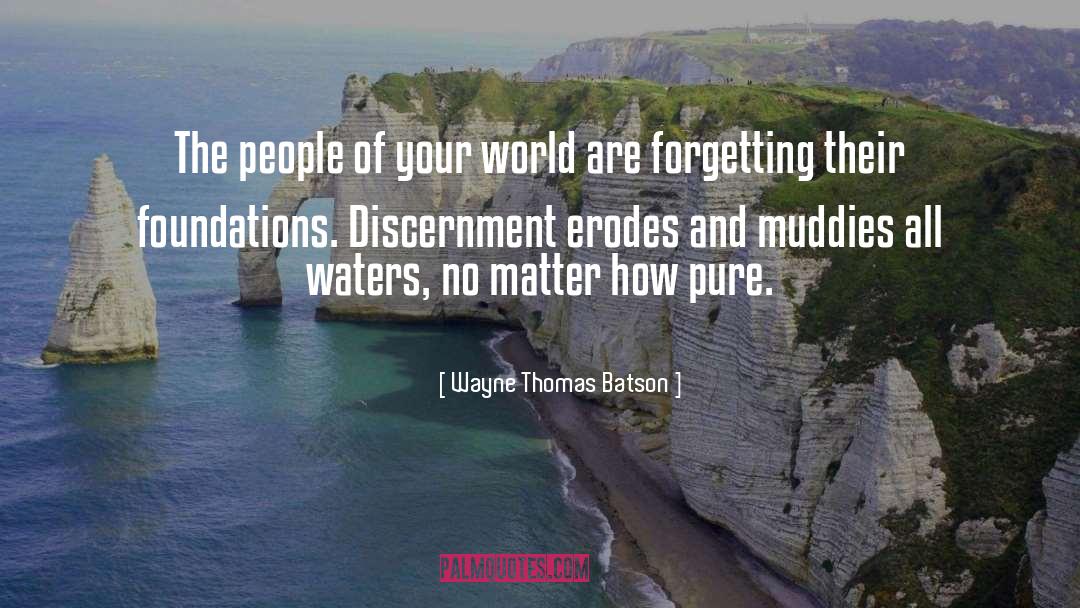 Discernment quotes by Wayne Thomas Batson