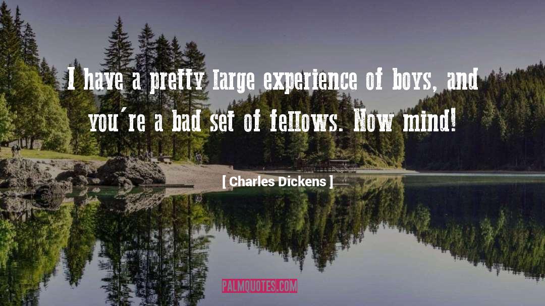 Discipleship quotes by Charles Dickens