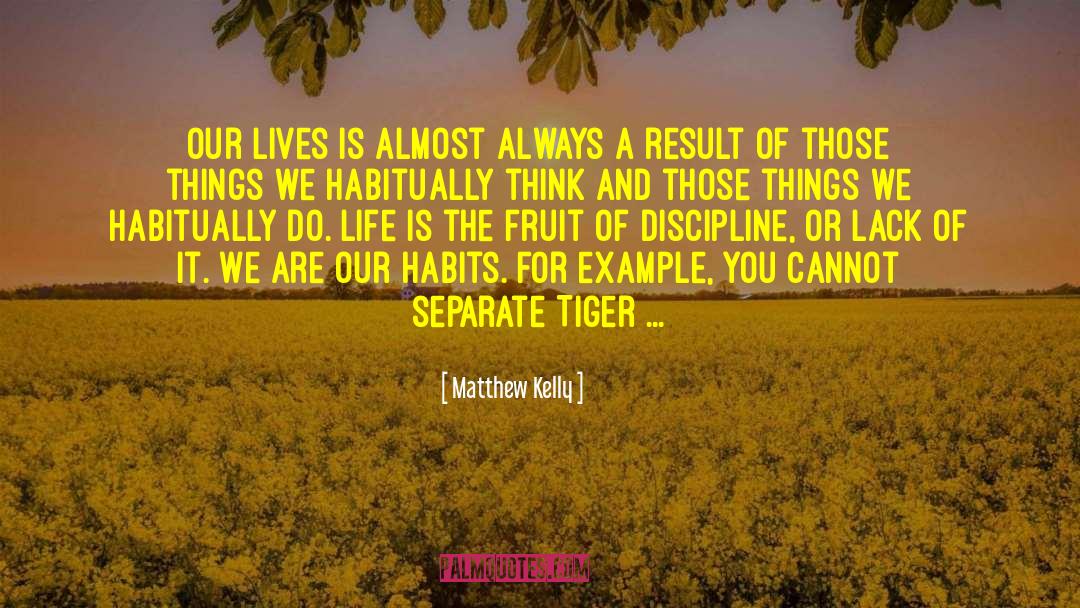 Discipline And Punish quotes by Matthew Kelly
