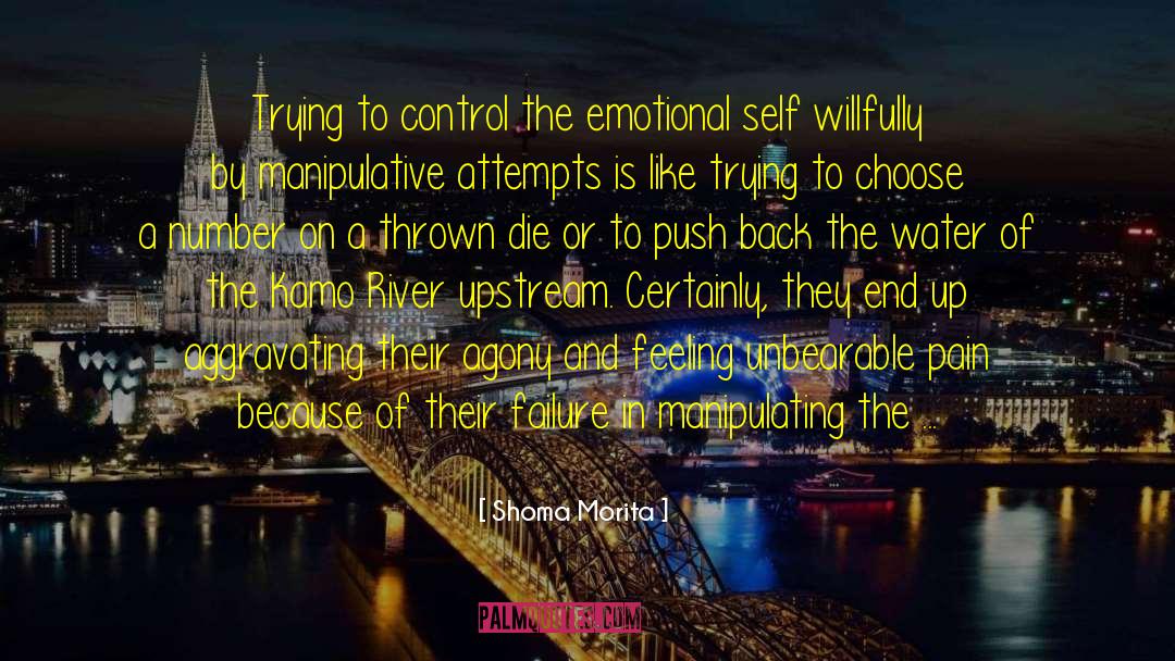 Discipline And Self Control quotes by Shoma Morita