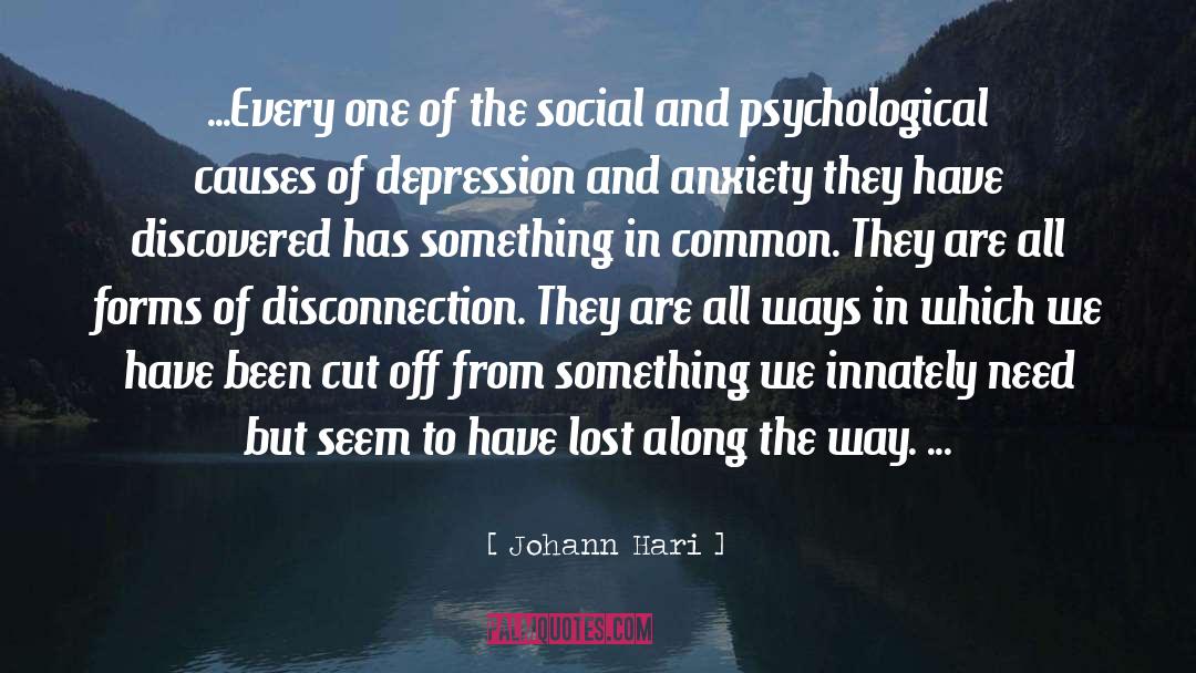 Disconnection quotes by Johann Hari