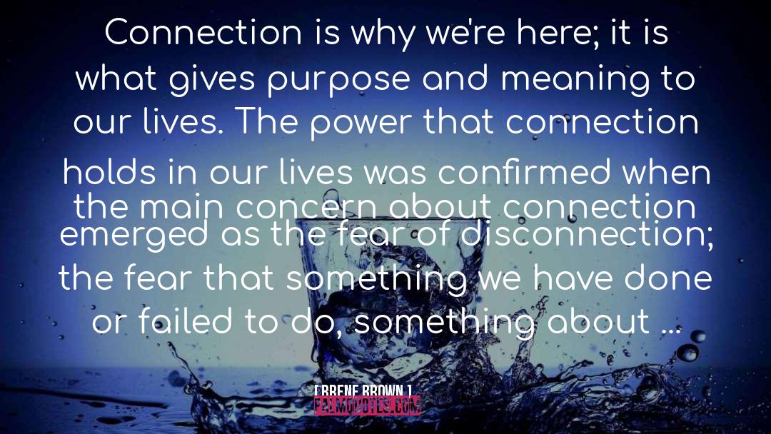 Disconnection quotes by Brene Brown