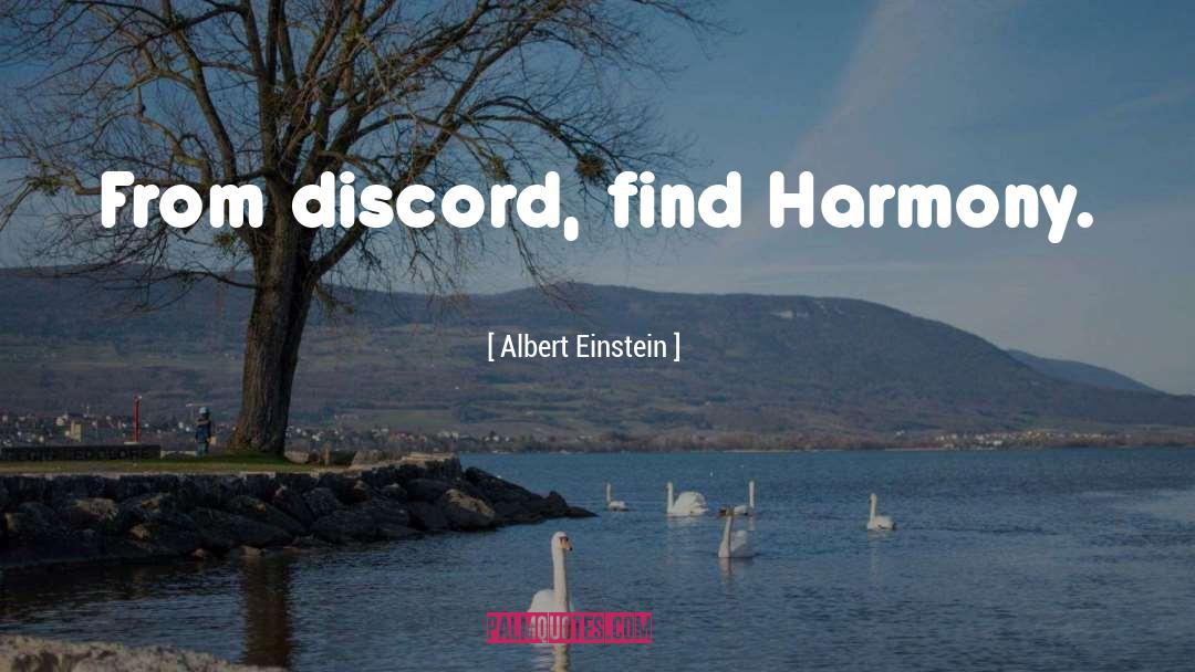 Discord quotes by Albert Einstein