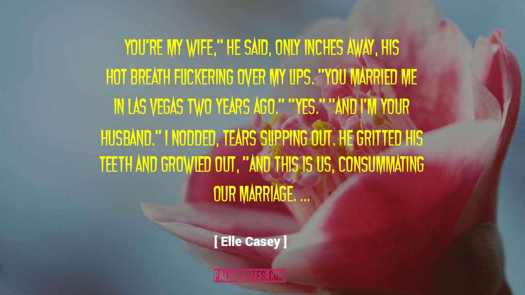 Discotheques In Las Vegas quotes by Elle Casey