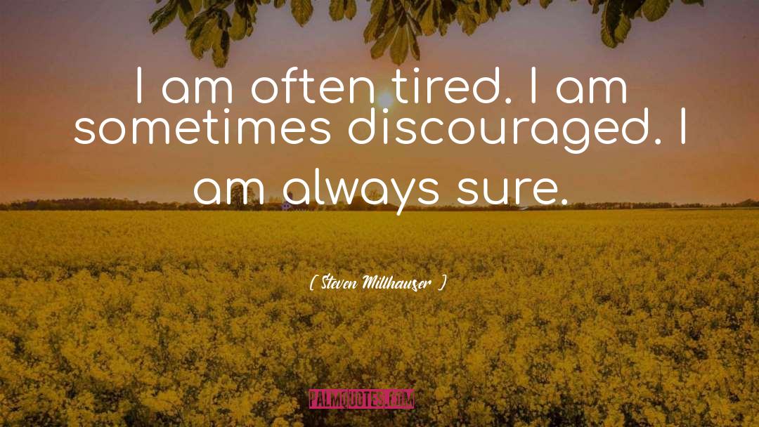 Discouraged quotes by Steven Millhauser