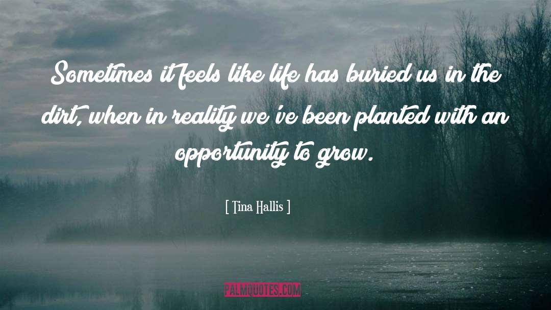 Discouragement quotes by Tina Hallis