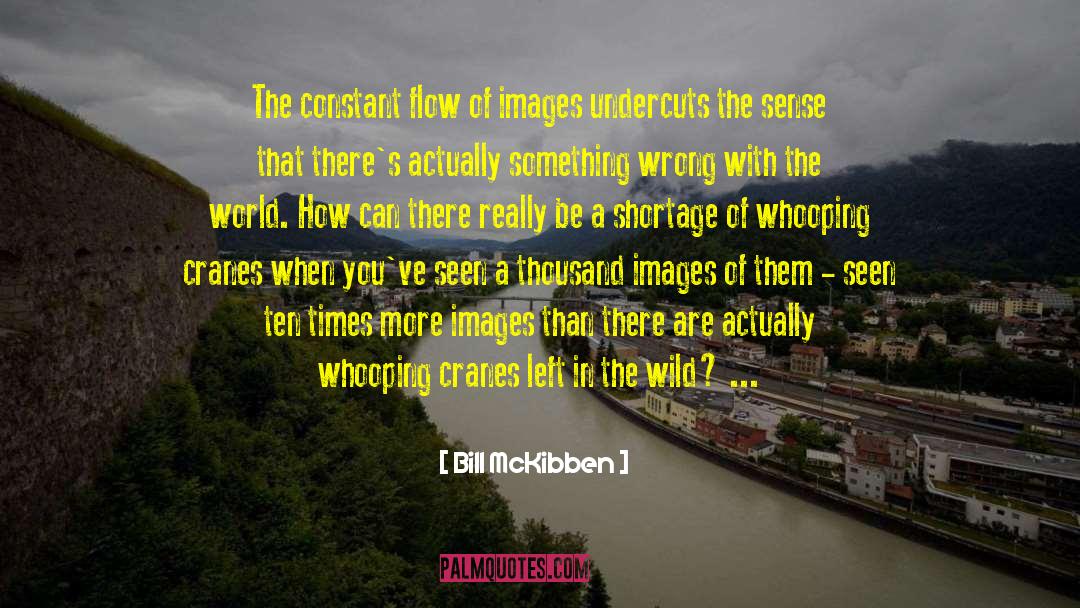 Discouraging Images With quotes by Bill McKibben