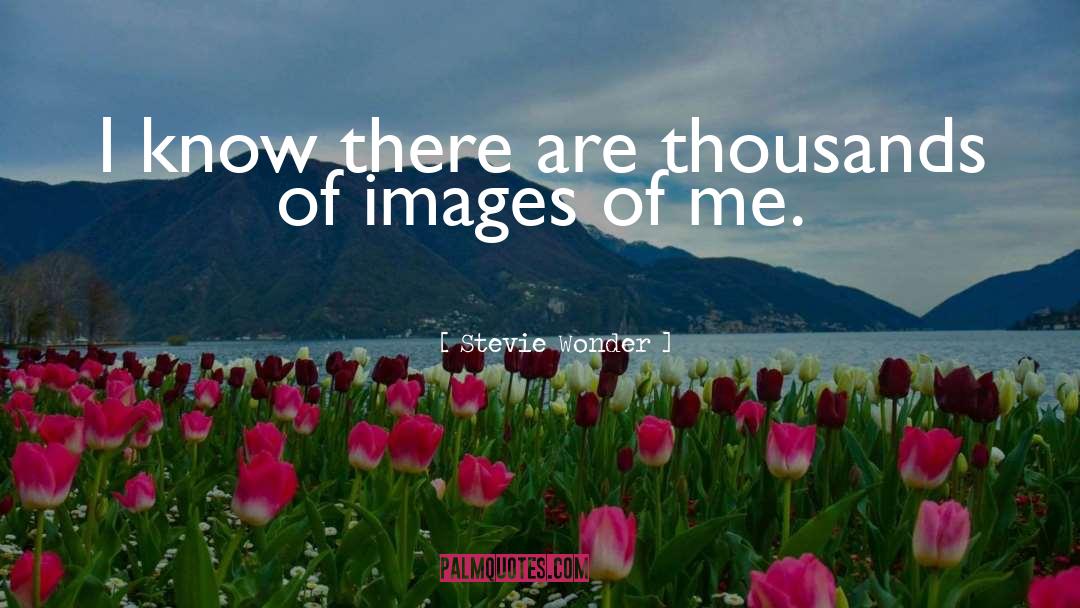 Discouraging Images With quotes by Stevie Wonder