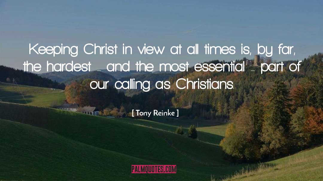 Discovering Calling quotes by Tony Reinke