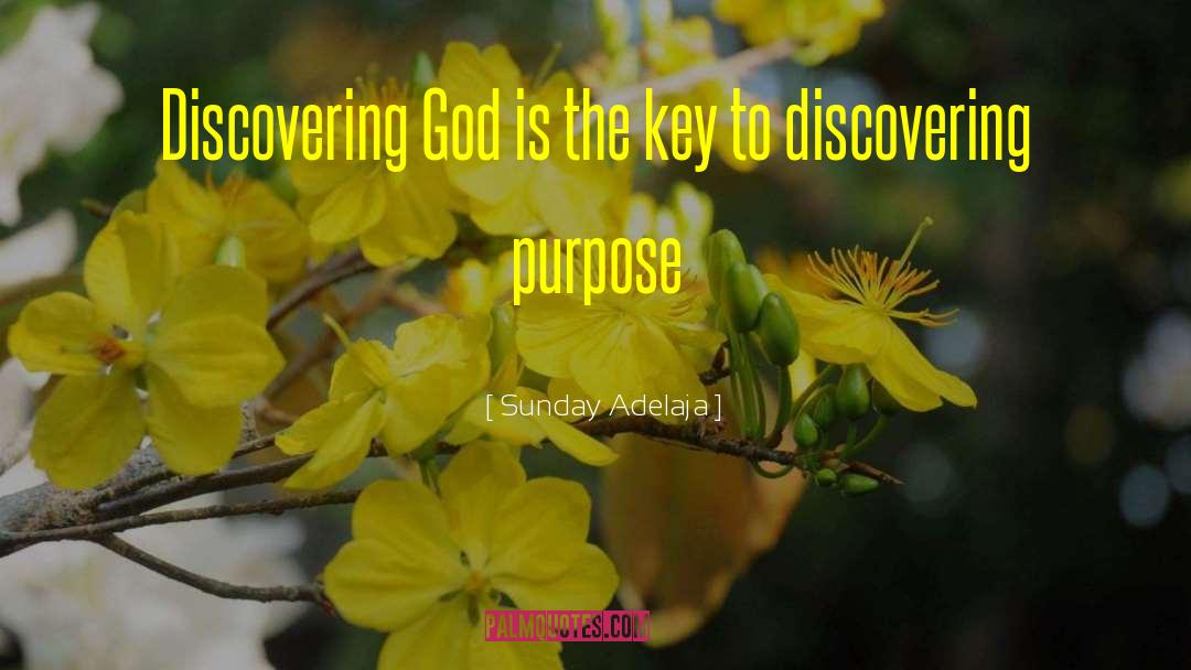 Discovering Purpose quotes by Sunday Adelaja