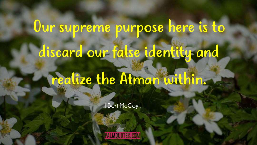 Discovery Of Identity quotes by Bert McCoy