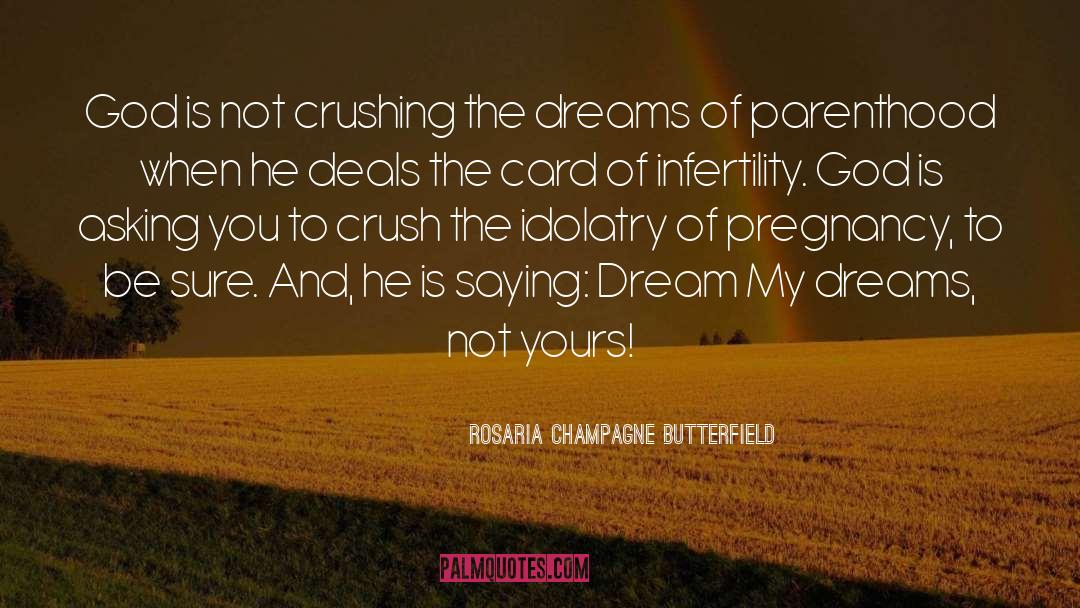 Discreet Pregnancy quotes by Rosaria Champagne Butterfield