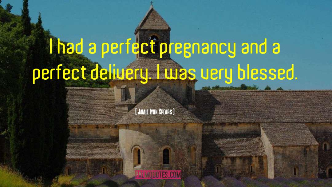 Discreet Pregnancy quotes by Jamie Lynn Spears