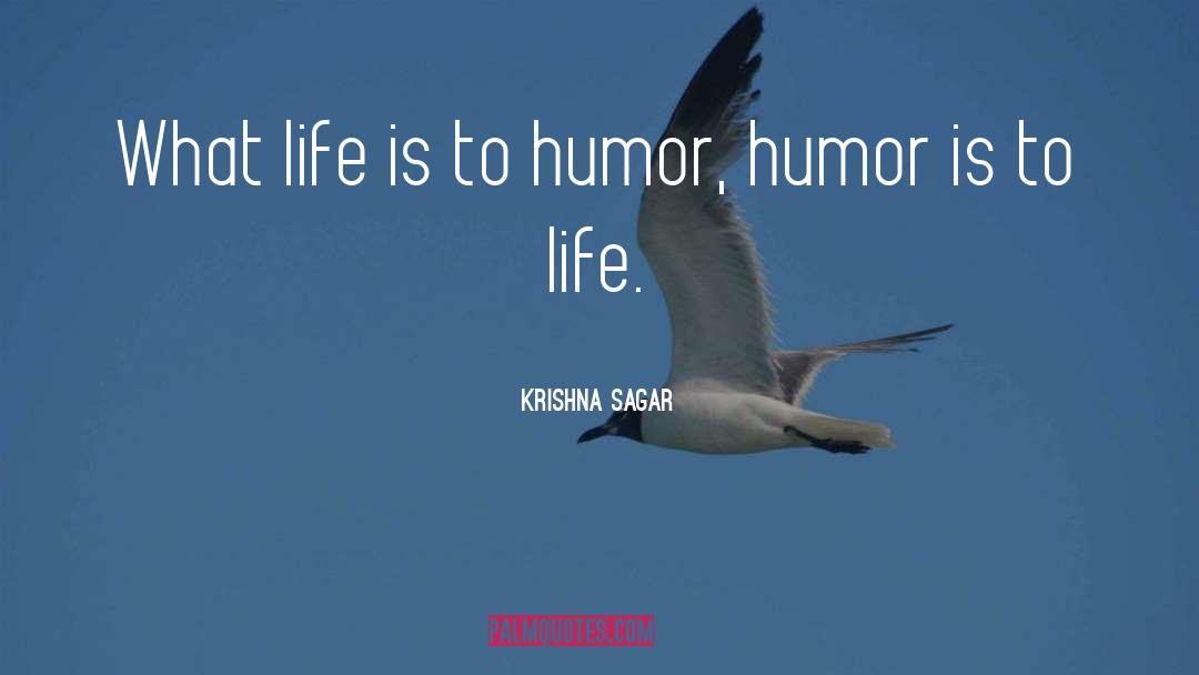 Discworld Humor Life quotes by Krishna Sagar