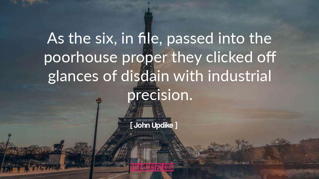 Disdain quotes by John Updike