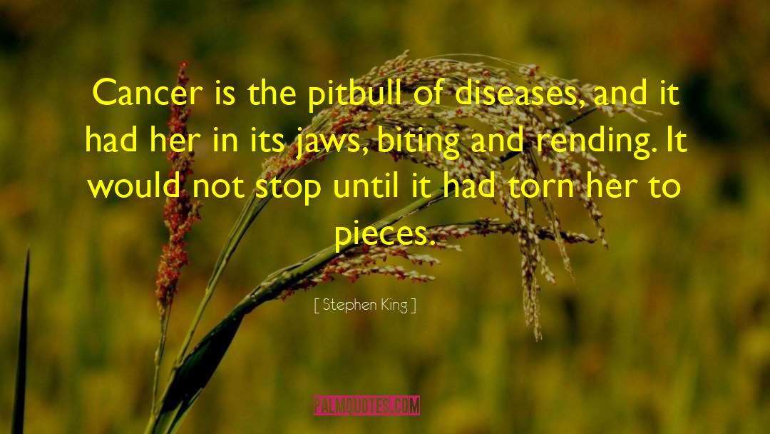 Diseases quotes by Stephen King