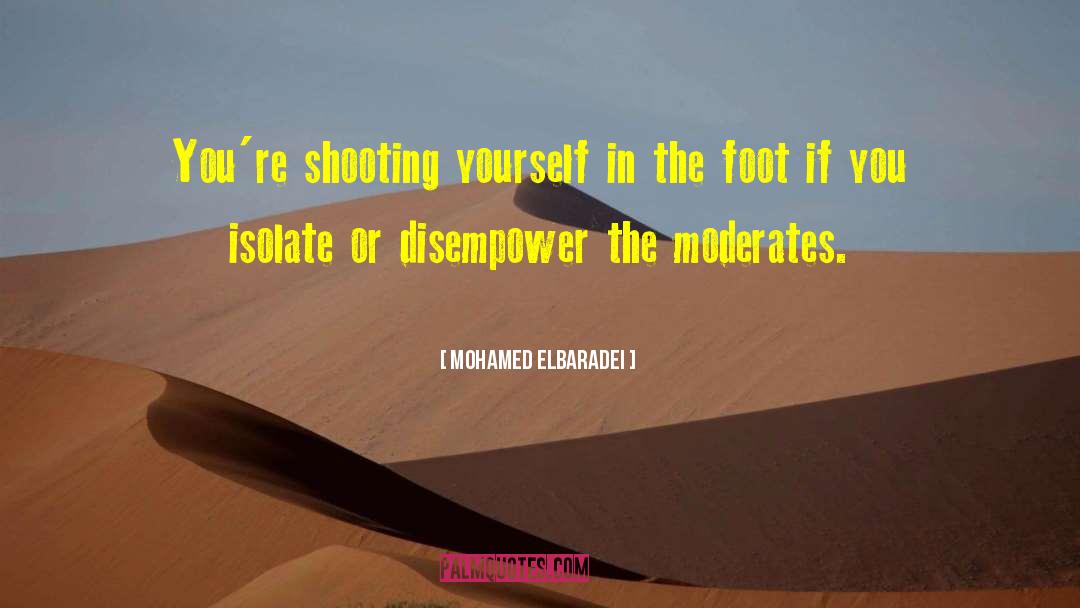 Disempower quotes by Mohamed ElBaradei