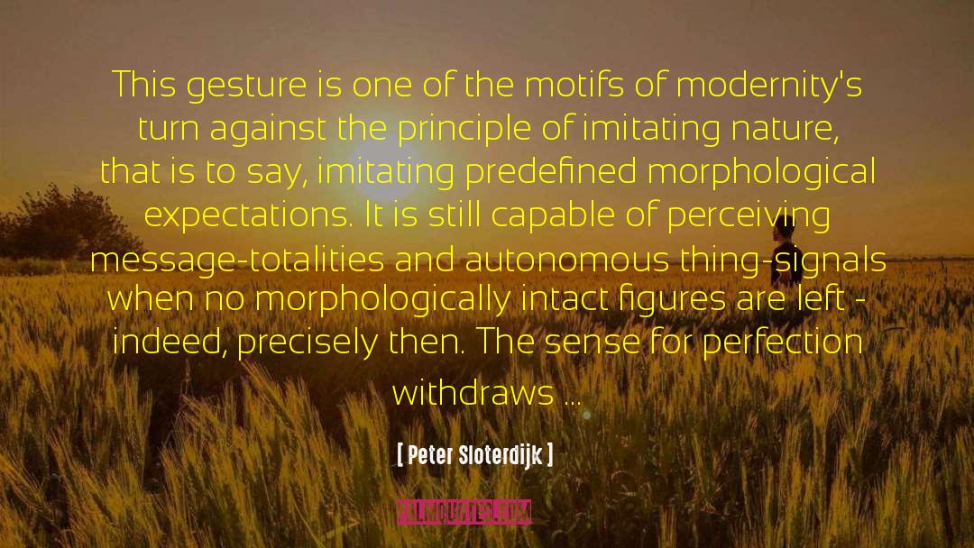 Disenchantment quotes by Peter Sloterdijk