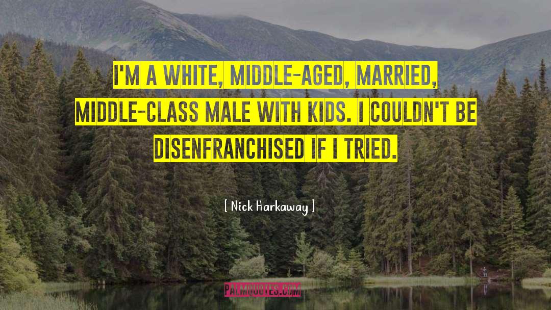 Disenfranchised quotes by Nick Harkaway