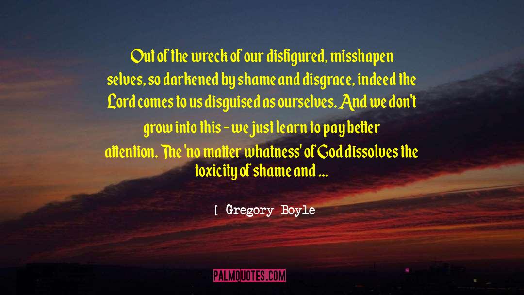Disfigured quotes by Gregory Boyle