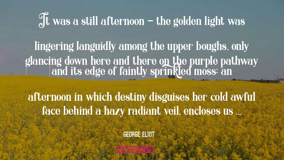 Disguises quotes by George Eliot