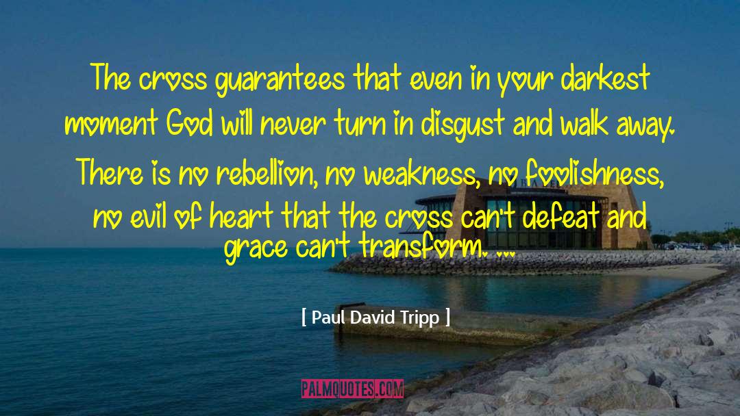 Disgust quotes by Paul David Tripp