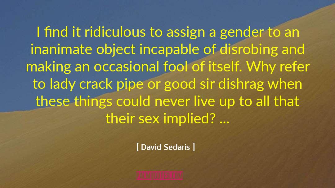 Dishrag quotes by David Sedaris