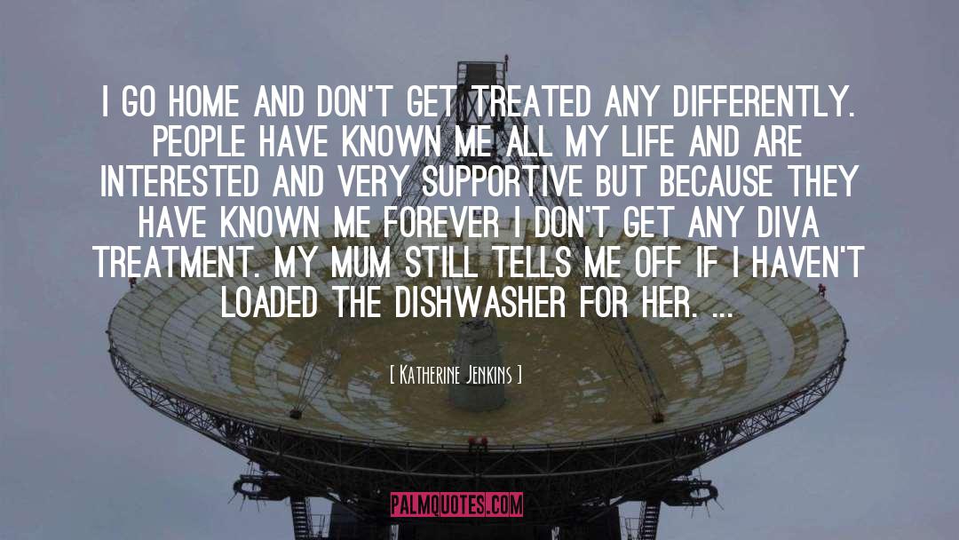 Dishwashers quotes by Katherine Jenkins