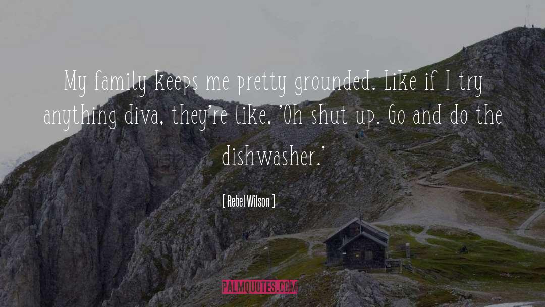 Dishwashers quotes by Rebel Wilson