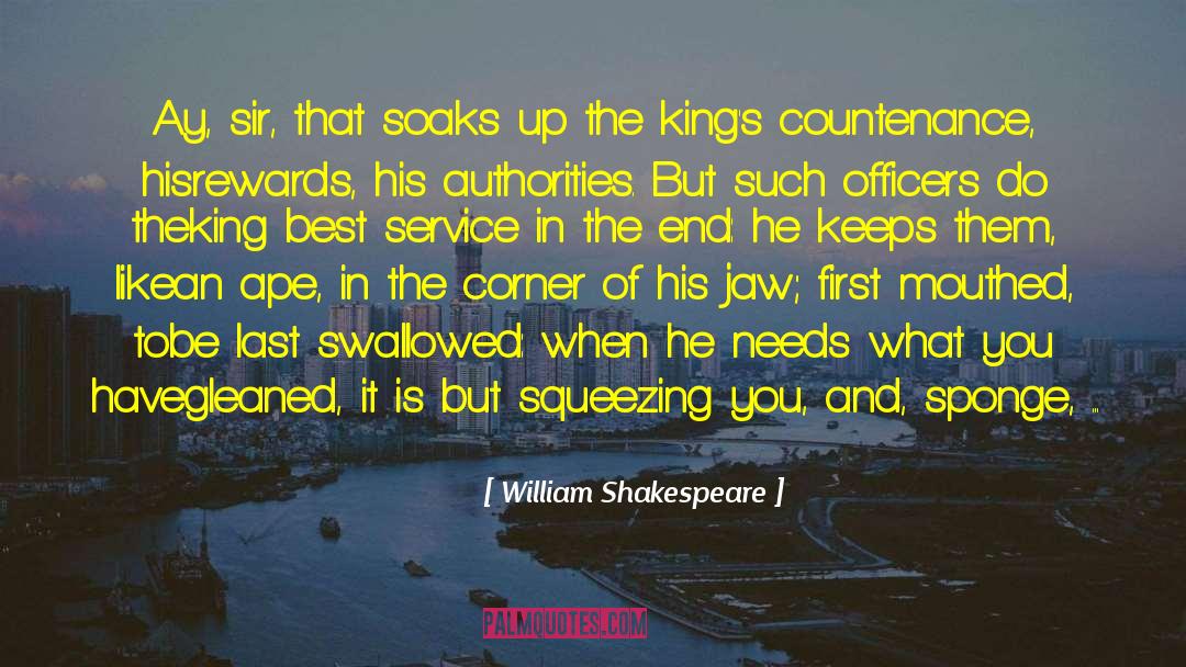 Dishwashing Sponge quotes by William Shakespeare