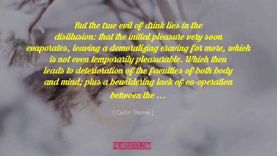 Disillusion quotes by Caitlin Thomas