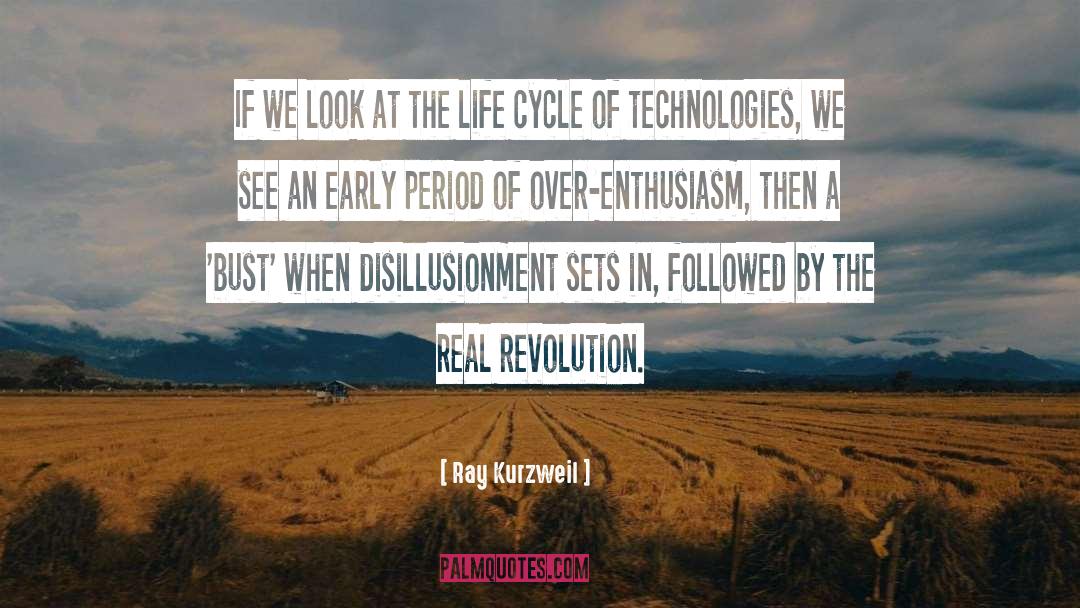 Disillusionment quotes by Ray Kurzweil