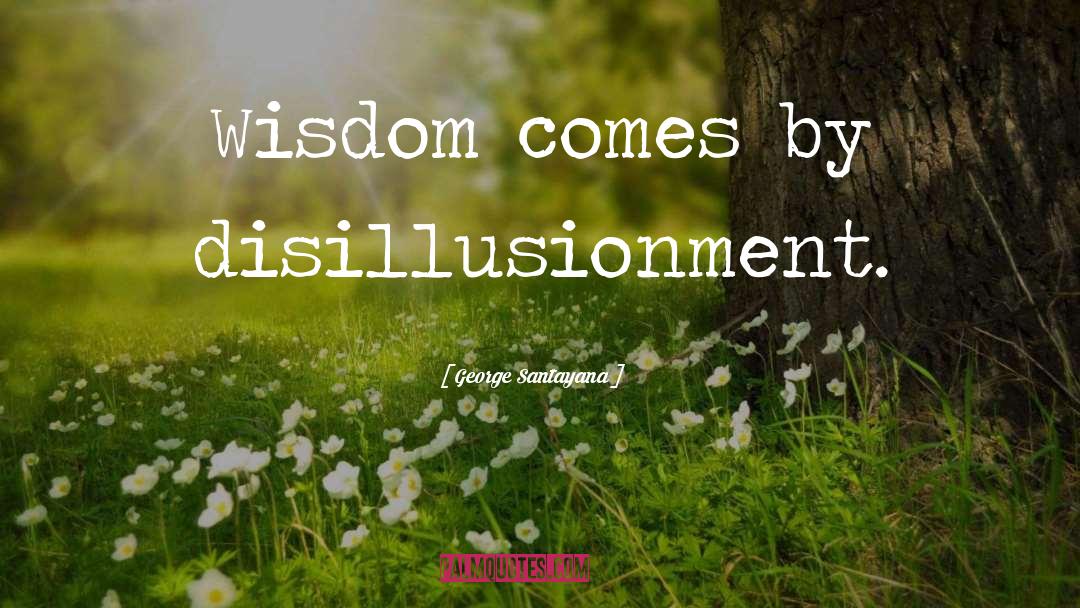 Disillusionment quotes by George Santayana