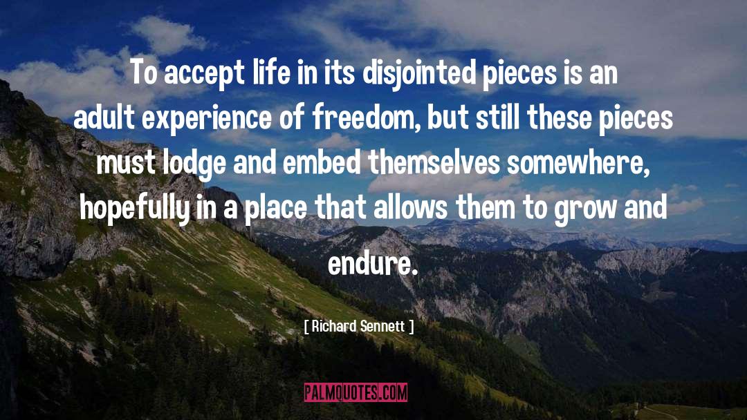 Disjointed quotes by Richard Sennett